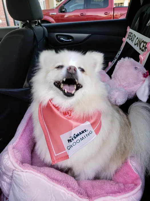 Banfield Pet Hospital 12