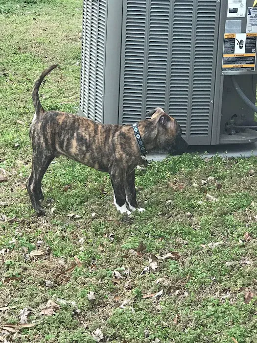 Banfield Pet Hospital 12