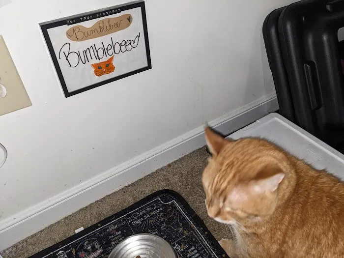 Banfield Pet Hospital 12