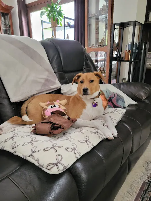 Urban Pet Company, LLC 2