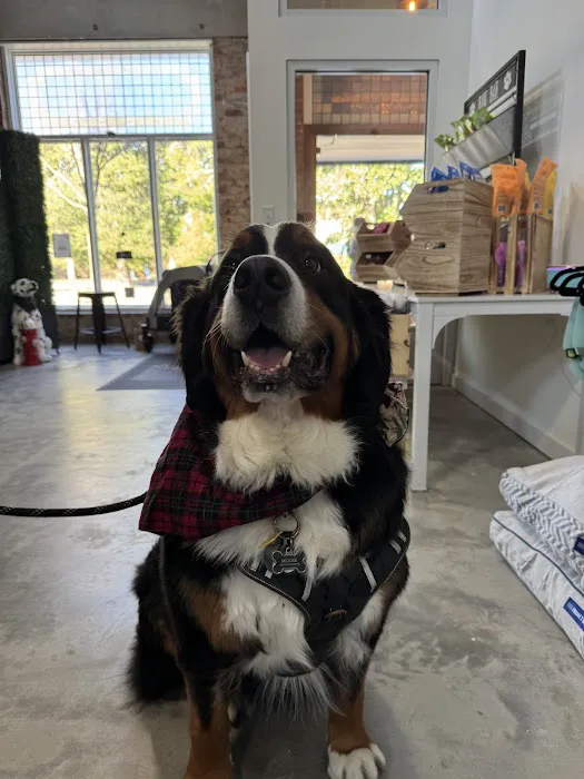 Urban Pet Company, LLC 5