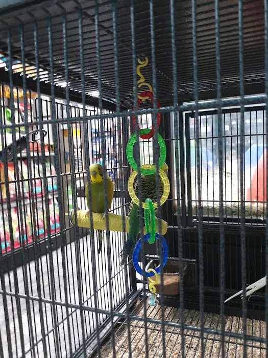 Pet Supermarket 6