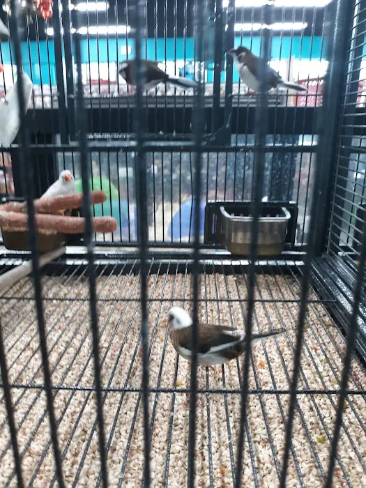 Pet Supermarket 5