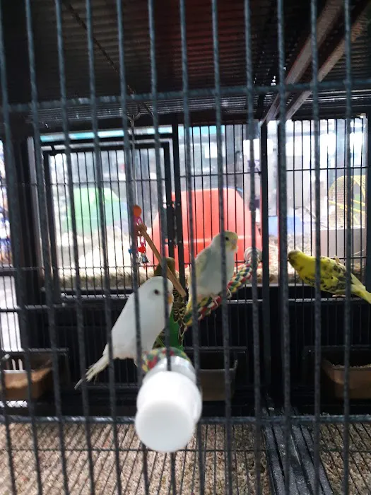 Pet Supermarket 4