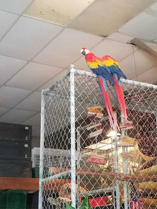 Aqua-Rama Pet Center 12