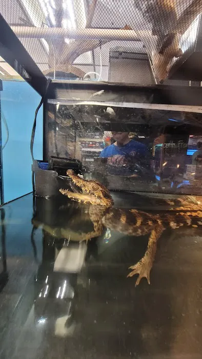 Aqua-Rama Pet Center 12
