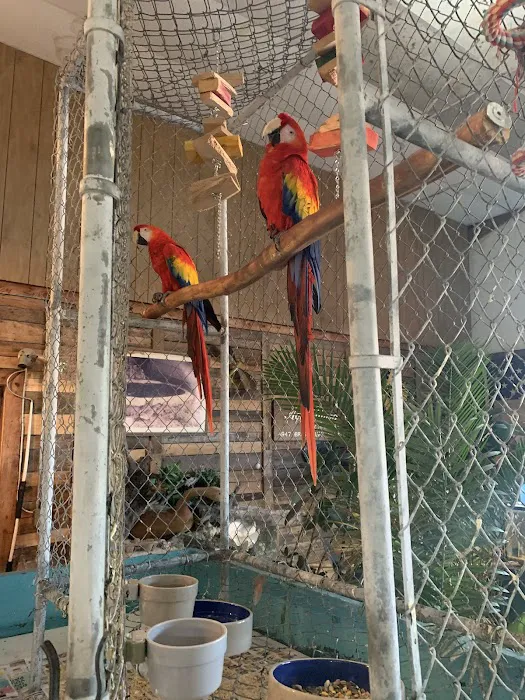 Aqua-Rama Pet Center 12