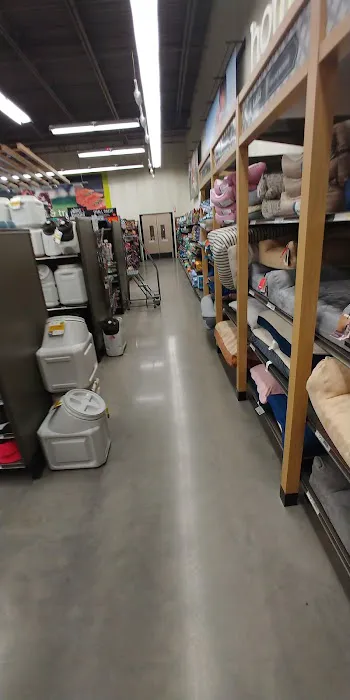 Petco 12