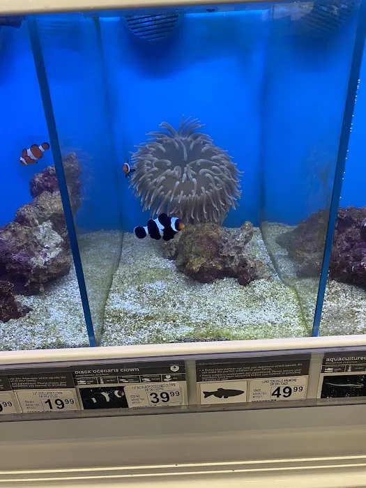 Petco 12