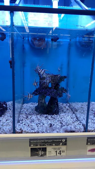 Petco 12