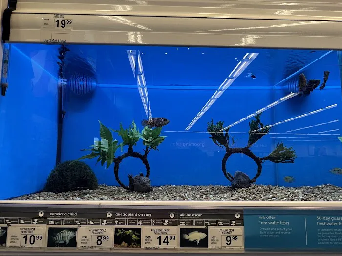 Petco 12