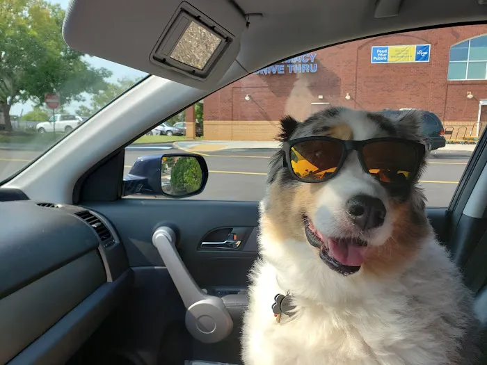 Crater Road Veterinary Hospital 12