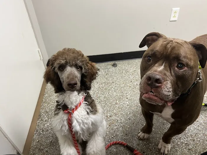 Crater Road Veterinary Hospital 12