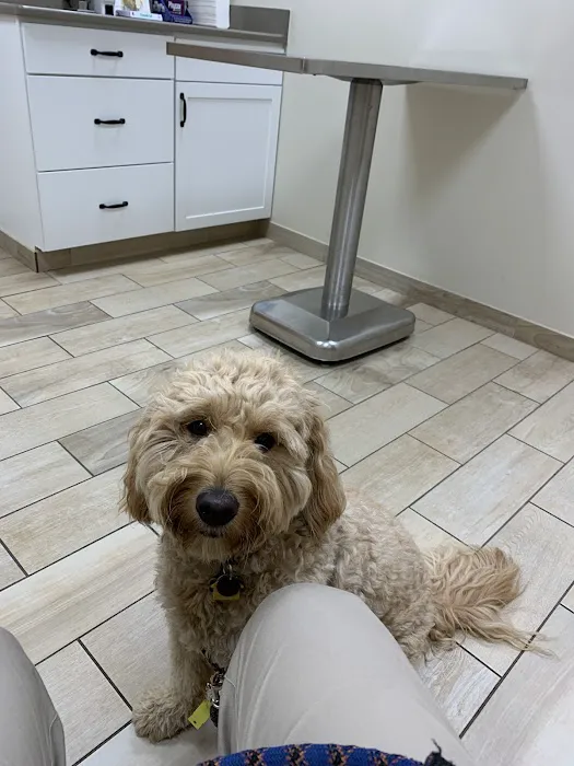 Stratford Hills Veterinary Center 5