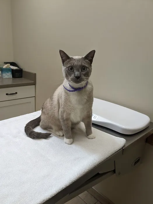 Stratford Hills Veterinary Center 4