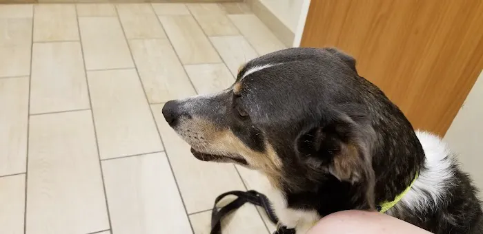 Stratford Hills Veterinary Center 7