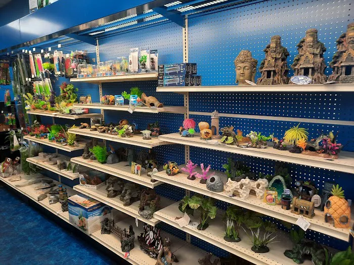 Pet Supermarket 12