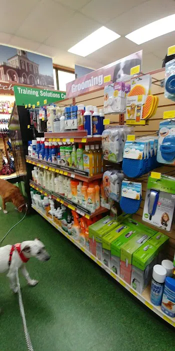 Pet Supermarket 12