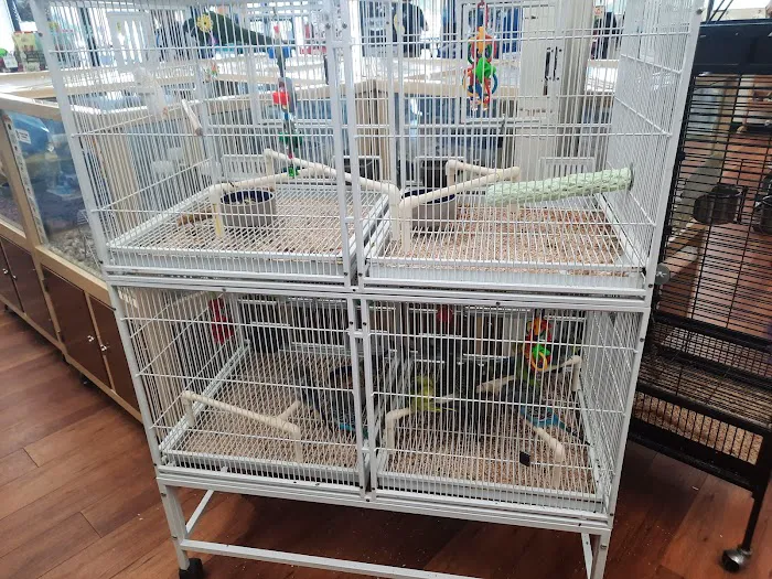 Pet Supermarket 12