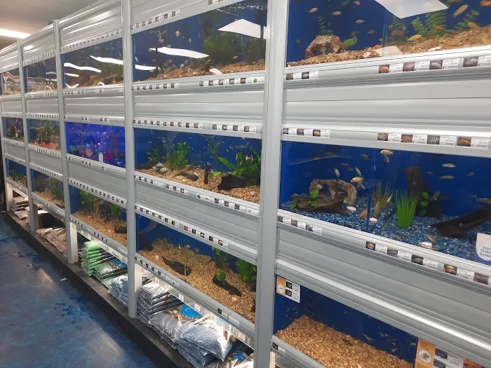 Pet Supermarket 12