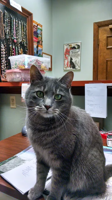 Pocoshock Animal Hospital 10