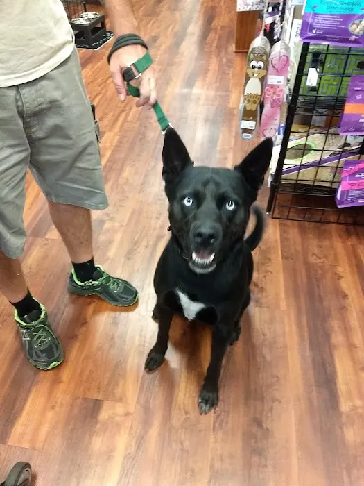 Naturally Unleashed Pet Nutrition Center 12