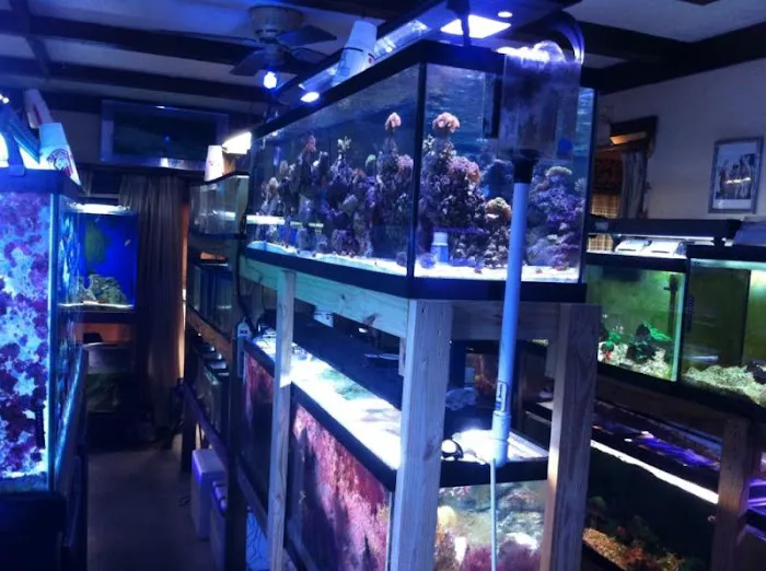 TnT Saltwater Aquariums 12