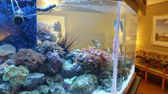 TnT Saltwater Aquariums 12