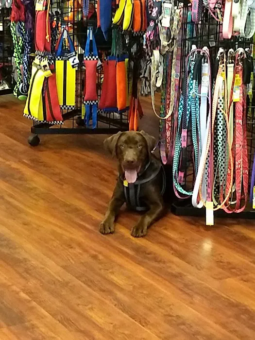 Naturally Unleashed Pet Nutrition Center 12
