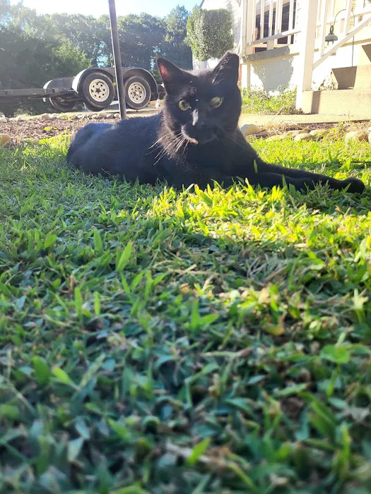 Chesdin Animal Hospital 12