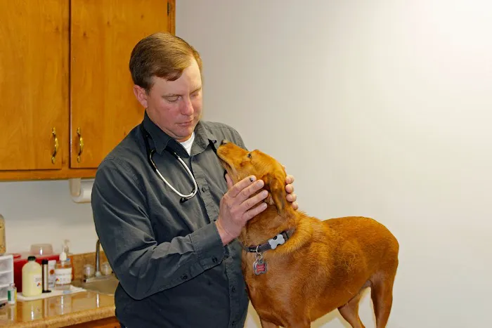 Chesdin Animal Hospital 12