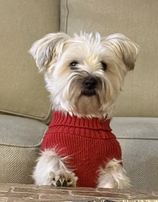 Virginia Veterinary Centers - Midlothian 1