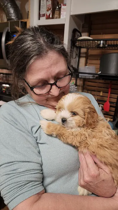 Dream Puppies Pet Store 7