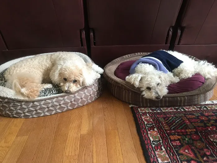 Brandermill Animal Hospital 2
