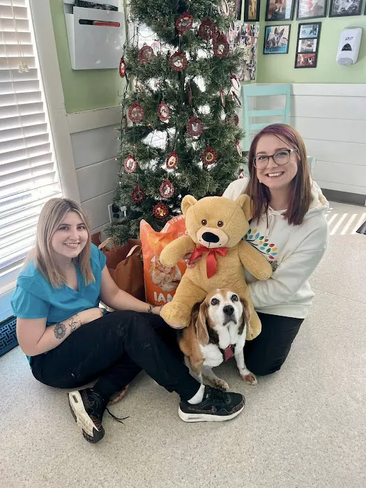 Brandermill Animal Hospital 5