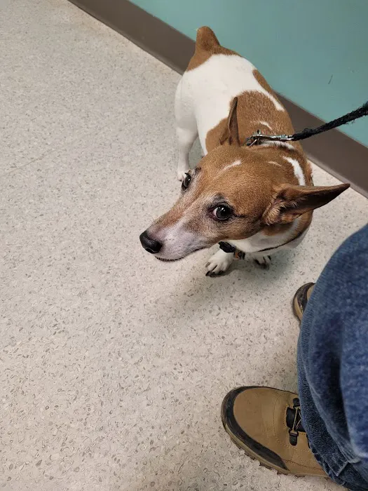 Brandermill Animal Hospital 4