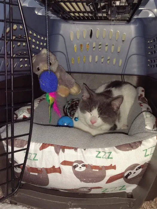 Lucks Lane Veterinary Clinic 3