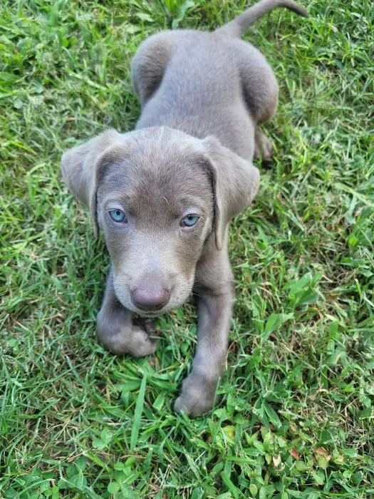 Banfield Pet Hospital 7