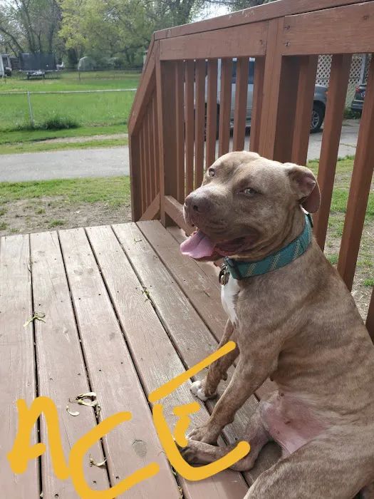 Banfield Pet Hospital 9