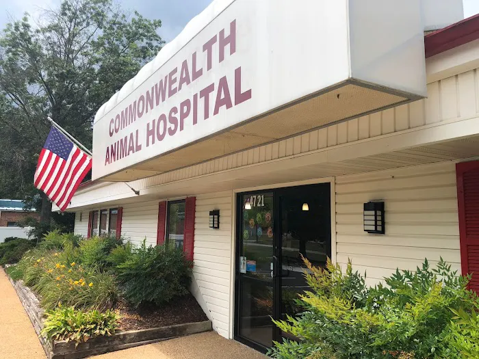 Commonwealth Animal Hospital 1