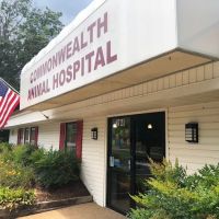 Commonwealth Animal Hospital ico