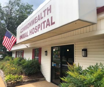 Commonwealth Animal Hospital
