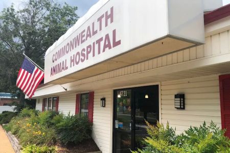 Commonwealth Animal Hospital
