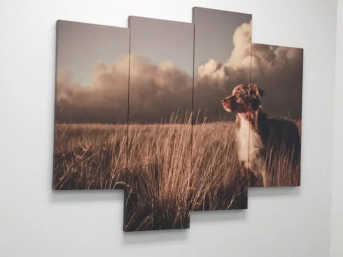 Commonwealth Animal Hospital 4