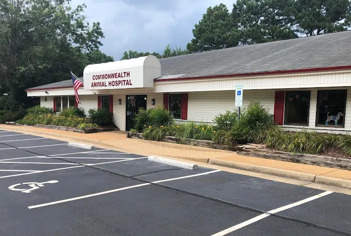 Commonwealth Animal Hospital 9