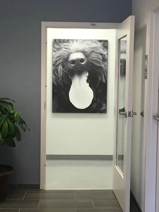 Commonwealth Animal Hospital 7