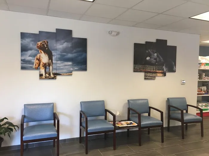 Commonwealth Animal Hospital 8