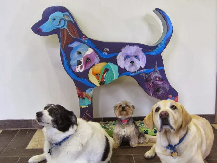 Winterfield Veterinary Hospital 6