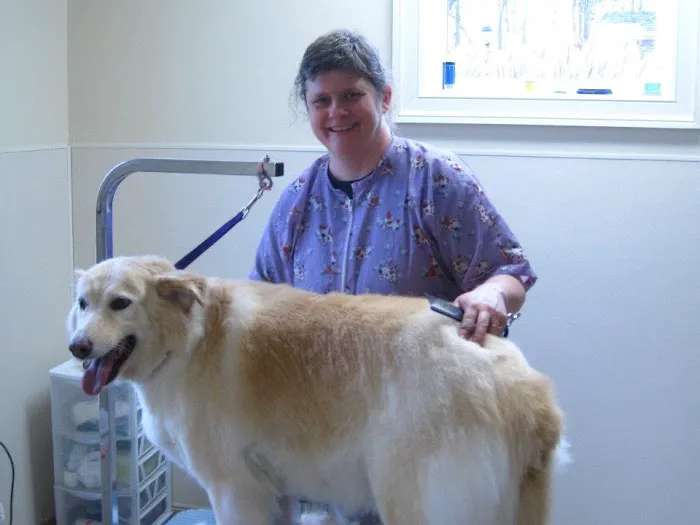 Winterfield Veterinary Hospital 8