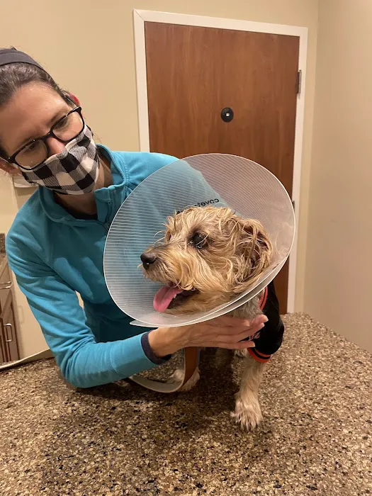 Animal Eye Care of Richmond 8